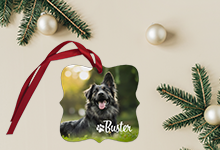 Personalized full-color ornaments with custom photos, names, artwork, and designs
